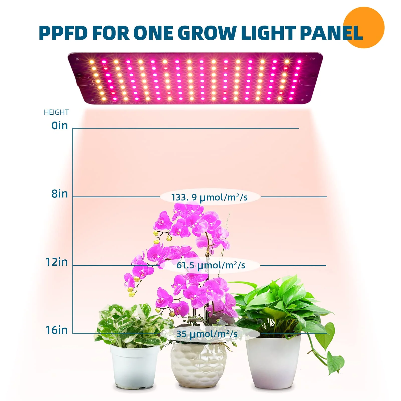 Barrina 10W LED Grow Light Panels 3-Spectrum | Full Spectrum, Dimmable & Timer | DC10 - Image 5