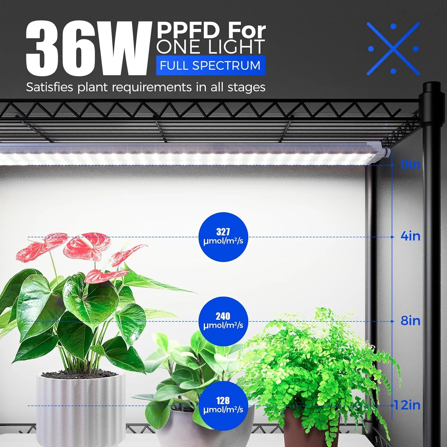 Barrina 4-Tier Plant Stand with 3-Pack T5 36W LED Grow Lights 3FT 5000K | Full Spectrum & Timer | WI36 - Image 3