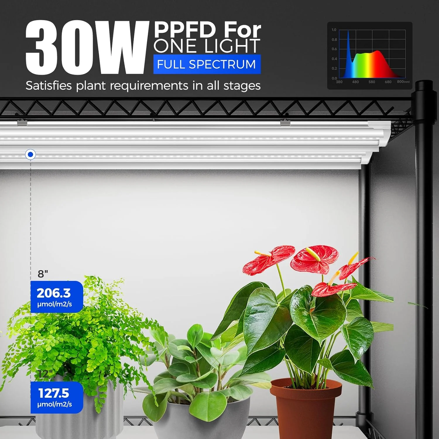 Barrina 4-Tier Plant Stand with 6-Pack T8 30W LED Grow Lights 3FT 5000K | Full Spectrum, Tent, Thermo-Hygrometer & Timer | QI30 - Image 3