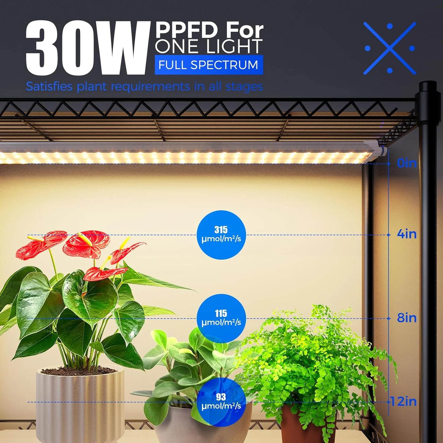 Barrina 6-Tier Plant Stand with 5-Pack T5 30W LED Grow Lights 2FT 3-Spectrum | Full Spectrum & Timer | CX2 - Image 3