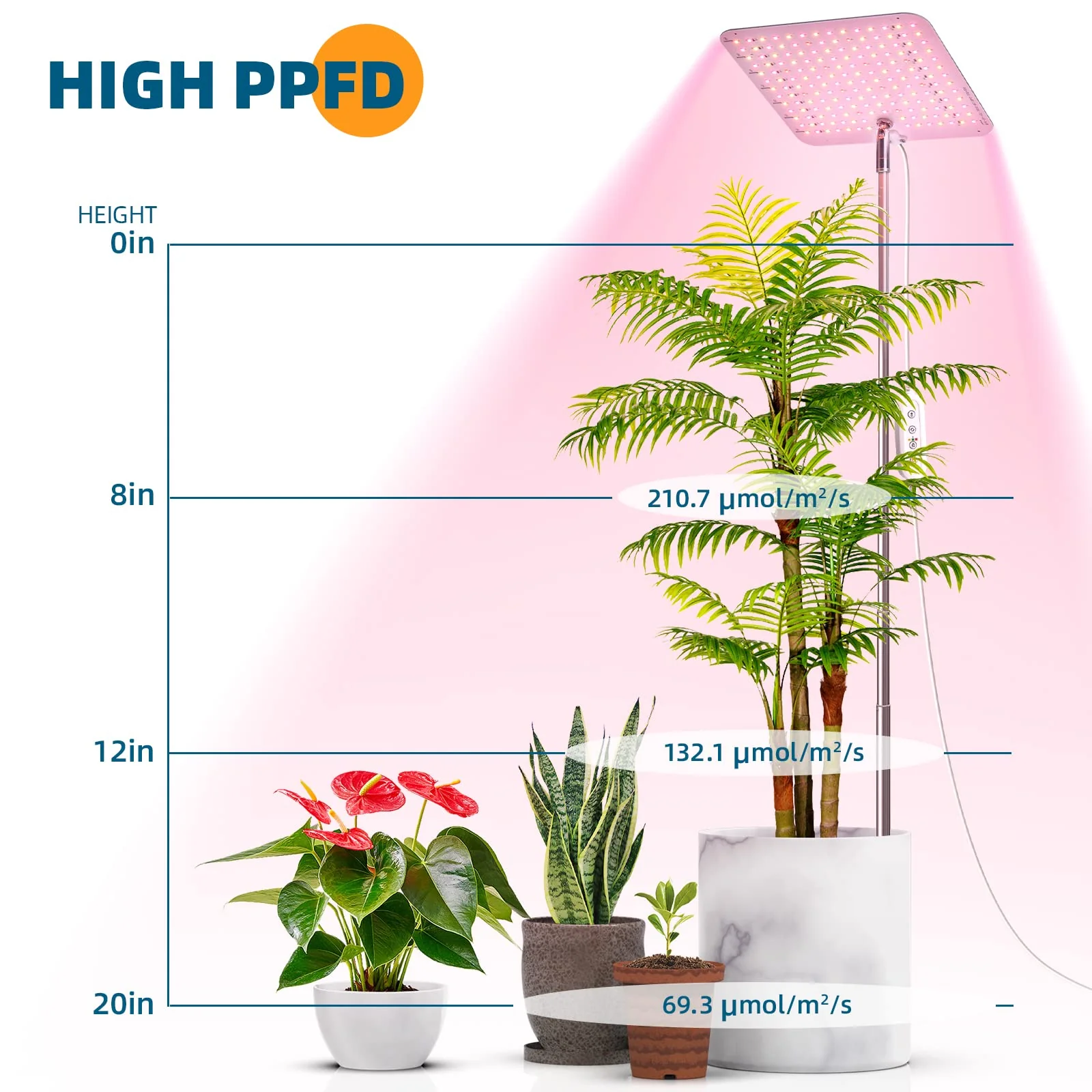 Barrina 24W LED Grow Lamp 182 LEDs | 13.78" to 59" Height Adjustable & Full Spectrum | CR24 - Image 4